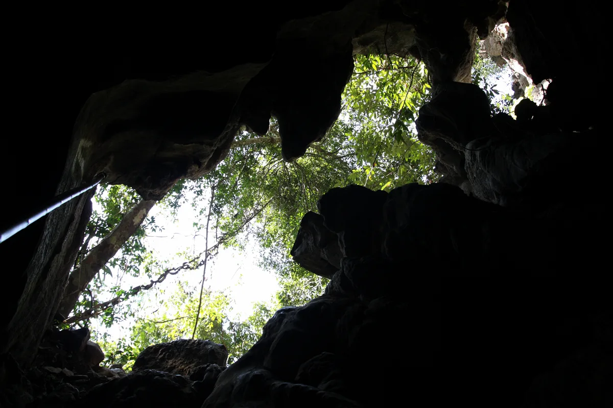 Daylight and vegetation at the opening of Tham Phu Kham cave
